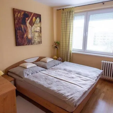 Fejova - 1 Bedroom In The Center